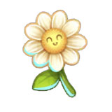 Gifts Winwin Xiao Hua