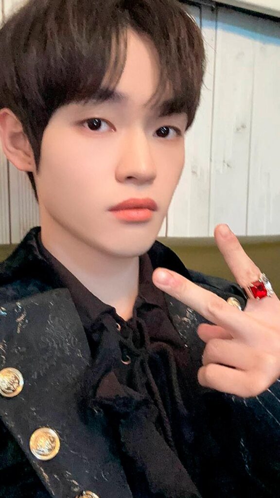 Secret Castle (Selfie) CHENLE